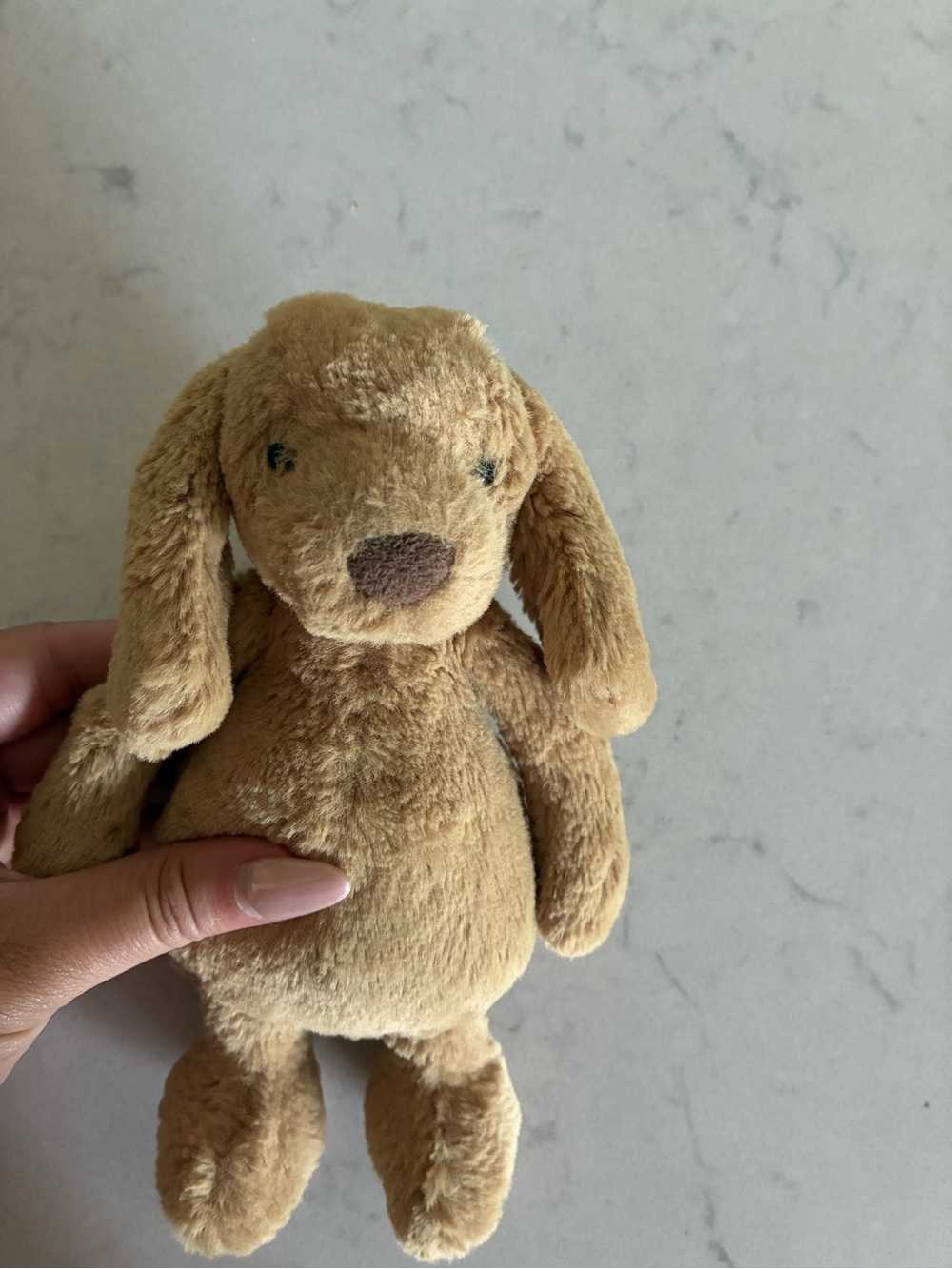 Jellycat bashful toffee puppy small 8” ♥️
Authentic so cute